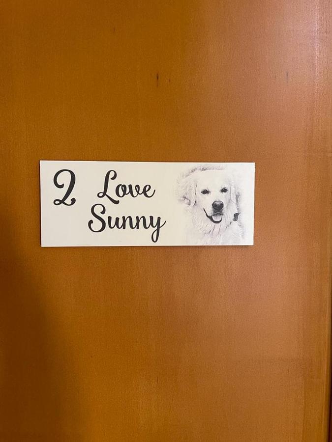 ファロ Sunny, The House - Alホステル 部屋 写真